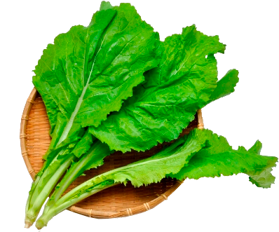 imagem de Mostarda Und