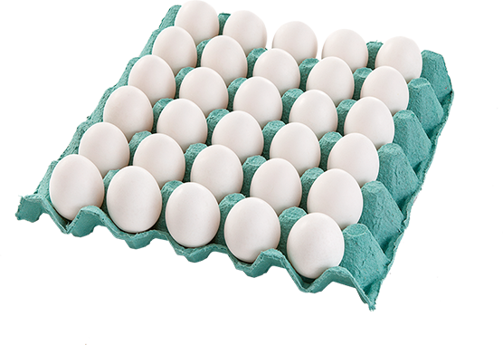 imagem de Ovos Brancos Pente Embalado Com 30