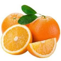 imagem de Laranja Bahia Kg
