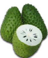 imagem de Graviola Kg